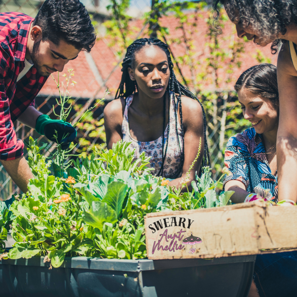  Community gardens are a great option to start a vegetable garden when you don't have a space of your own. A woman with long braids learns from experienced gardeners as 3 other gardeners gather around raised beds.